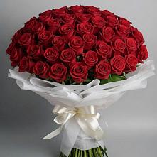 Букет 101 Красная роза Блэк Мэджик в Ясной