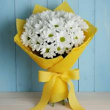 Букет цветов из:  Хризантемы в Ясной
