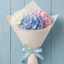 Букет цветов из:  Гортензия #REPLACE_PRED# Ясной